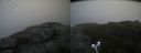 ./images/calvert/buxton2/20190919/buxton220190919_172503M.jpg