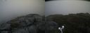 ./images/calvert/buxton2/20190919/buxton220190919_182502M.jpg