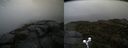 ./images/calvert/buxton2/20190921/buxton220190921_152503M.jpg