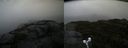 ./images/calvert/buxton2/20190921/buxton220190921_162503M.jpg