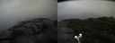 ./images/calvert/buxton2/20190921/buxton220190921_163503M.jpg