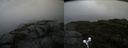 ./images/calvert/buxton2/20190921/buxton220190921_165002M.jpg