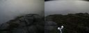 ./images/calvert/buxton2/20190921/buxton220190921_173503M.jpg