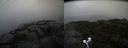 ./images/calvert/buxton2/20190921/buxton220190921_175503M.jpg