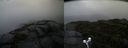 ./images/calvert/buxton2/20190921/buxton220190921_180503M.jpg