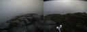 ./images/calvert/buxton2/20190921/buxton220190921_182003M.jpg