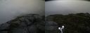 ./images/calvert/buxton2/20190921/buxton220190921_183503M.jpg