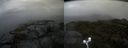 ./images/calvert/buxton2/20190923/buxton220190923_105002M.jpg