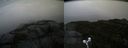 ./images/calvert/buxton2/20190923/buxton220190923_133503M.jpg