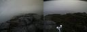 ./images/calvert/buxton2/20190923/buxton220190923_140503M.jpg