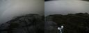 ./images/calvert/buxton2/20190923/buxton220190923_142503M.jpg