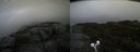 ./images/calvert/buxton2/20190923/buxton220190923_145503M.jpg