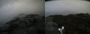 ./images/calvert/buxton2/20190923/buxton220190923_151503M.jpg