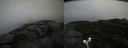 ./images/calvert/buxton2/20190923/buxton220190923_155503M.jpg