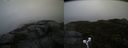 ./images/calvert/buxton2/20190923/buxton220190923_161003M.jpg