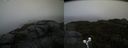 ./images/calvert/buxton2/20190923/buxton220190923_162503M.jpg