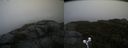 ./images/calvert/buxton2/20190923/buxton220190923_164503M.jpg