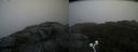 ./images/calvert/buxton2/20190923/buxton220190923_170502M.jpg