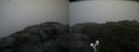 ./images/calvert/buxton2/20190923/buxton220190923_171502M.jpg