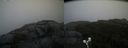 ./images/calvert/buxton2/20190923/buxton220190923_174503M.jpg