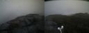 ./images/calvert/buxton2/20190924/buxton220190924_080503M.jpg