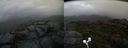 ./images/calvert/buxton2/20190925/buxton220190925_171503M.jpg