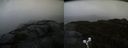 ./images/calvert/buxton2/20190925/buxton220190925_180002M.jpg