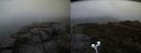 ./images/calvert/buxton2/20190925/buxton220190925_190503M.jpg