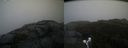 ./images/calvert/buxton2/20191003/buxton220191003_100003M.jpg