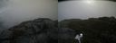 ./images/calvert/buxton2/20191003/buxton220191003_122503M.jpg