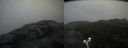./images/calvert/buxton2/20191003/buxton220191003_123503M.jpg
