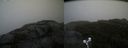 ./images/calvert/buxton2/20191003/buxton220191003_124003M.jpg
