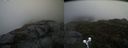 ./images/calvert/buxton2/20191003/buxton220191003_144503M.jpg