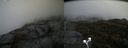 ./images/calvert/buxton2/20191003/buxton220191003_145003M.jpg