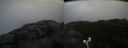 ./images/calvert/buxton2/20191003/buxton220191003_152502M.jpg