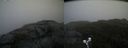 ./images/calvert/buxton2/20191003/buxton220191003_155502M.jpg