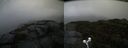 ./images/calvert/buxton2/20191006/buxton220191006_145503M.jpg