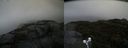 ./images/calvert/buxton2/20191006/buxton220191006_150503M.jpg
