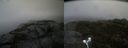 ./images/calvert/buxton2/20191006/buxton220191006_161502M.jpg