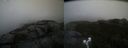 ./images/calvert/buxton2/20191006/buxton220191006_181002M.jpg