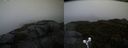 ./images/calvert/buxton2/20191006/buxton220191006_185502M.jpg