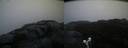 ./images/calvert/buxton2/20191007/buxton220191007_075003M.jpg