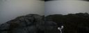 ./images/calvert/buxton2/20191007/buxton220191007_083502M.jpg