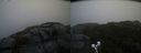 ./images/calvert/buxton2/20191007/buxton220191007_085502M.jpg