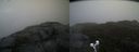 ./images/calvert/buxton2/20191012/buxton220191012_104502M.jpg