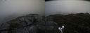 ./images/calvert/buxton2/20191012/buxton220191012_113503M.jpg