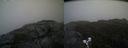 ./images/calvert/buxton2/20191012/buxton220191012_121503M.jpg