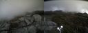 ./images/calvert/buxton2/20191013/buxton220191013_150503M.jpg