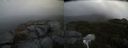 ./images/calvert/buxton2/20191014/buxton220191014_145503M.jpg