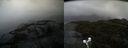 ./images/calvert/buxton2/20191017/buxton220191017_131502M.jpg